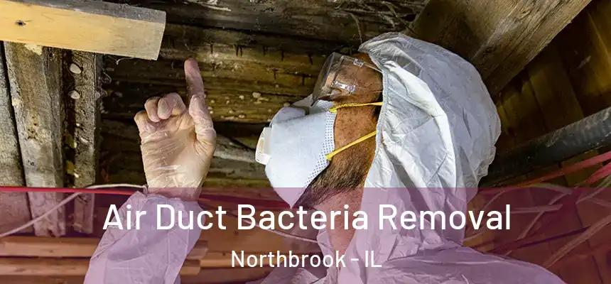  Air Duct Bacteria Removal Northbrook - IL