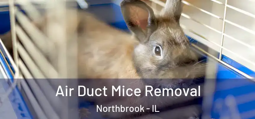  Air Duct Mice Removal Northbrook - IL