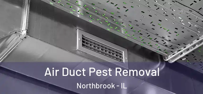  Air Duct Pest Removal Northbrook - IL