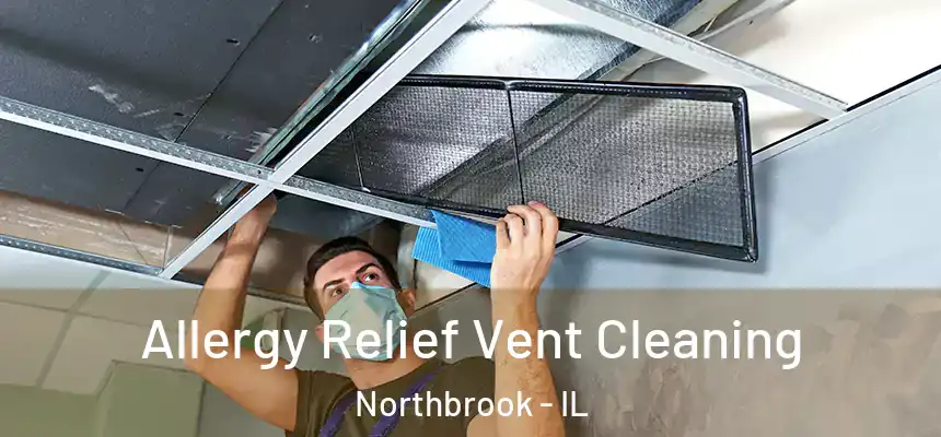  Allergy Relief Vent Cleaning Northbrook - IL