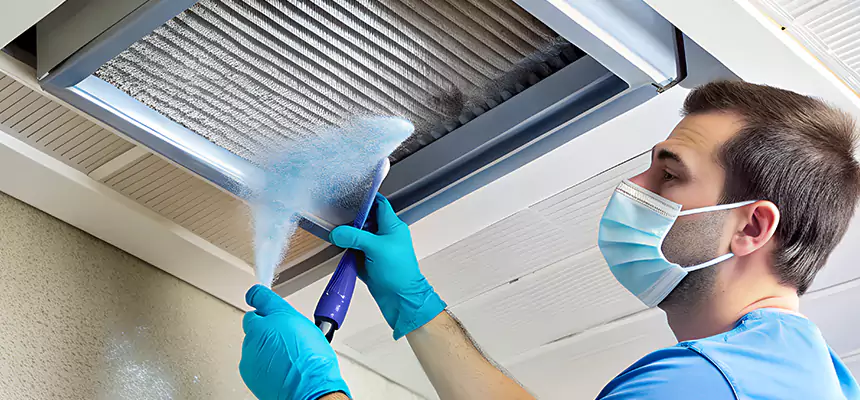 Proactive Dryer Vent & Auxiliary Duct Pollen Cleanup in Northbrook, IL