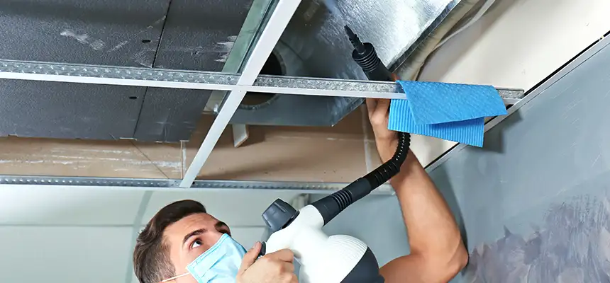 Our Air Duct Rodent Removal Services in Northbrook, IL