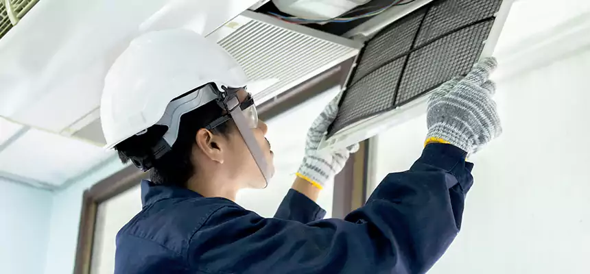 Our Mold & Mildew Removal from Air Ducts Services in Northbrook, IL