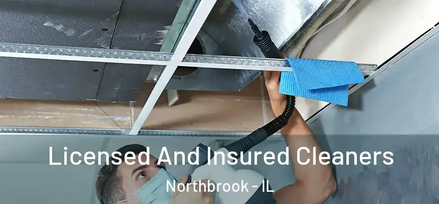  Licensed And Insured Cleaners Northbrook - IL