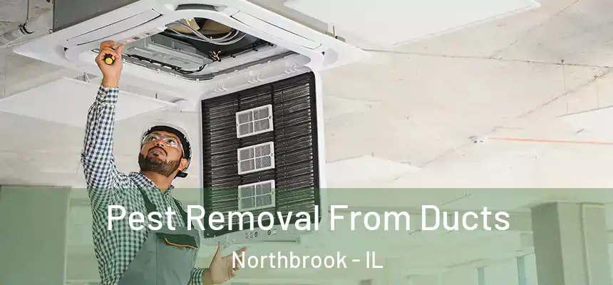  Pest Removal From Ducts Northbrook - IL