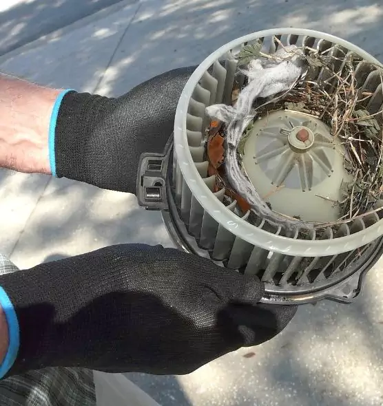 About Air Duct Mice Removal in Northbrook, IL