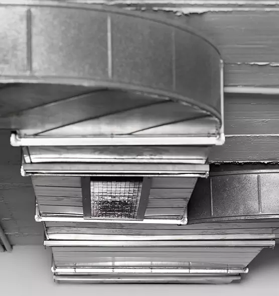 Professional Air Duct Pest Removal in Northbrook, IL