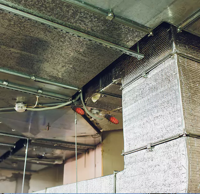 Why Homeowners & Businesses Trust Us in Northbrook, IL?