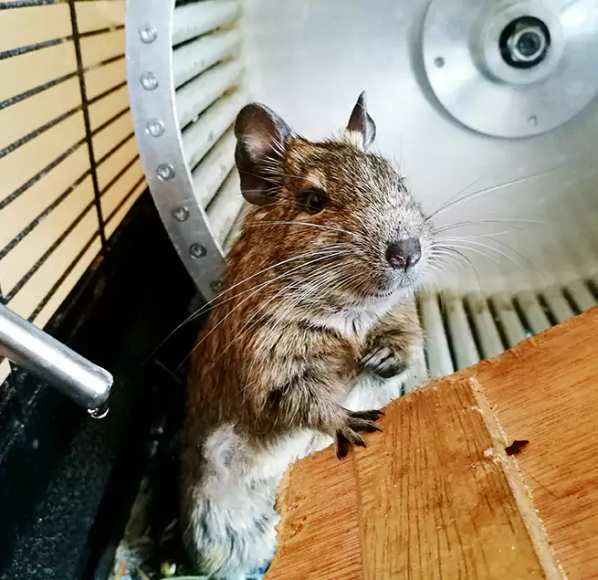 Why Homeowners & Businesses Trust Us Northbrook, IL?